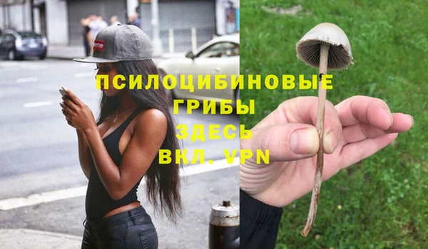 гидропоника Краснотурьинск