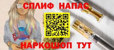 соль ск Славгород