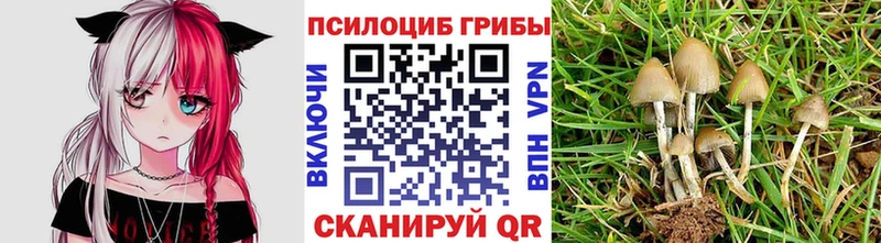 Псилоцибиновые грибы MAGIC MUSHROOMS закладки Смоленск
