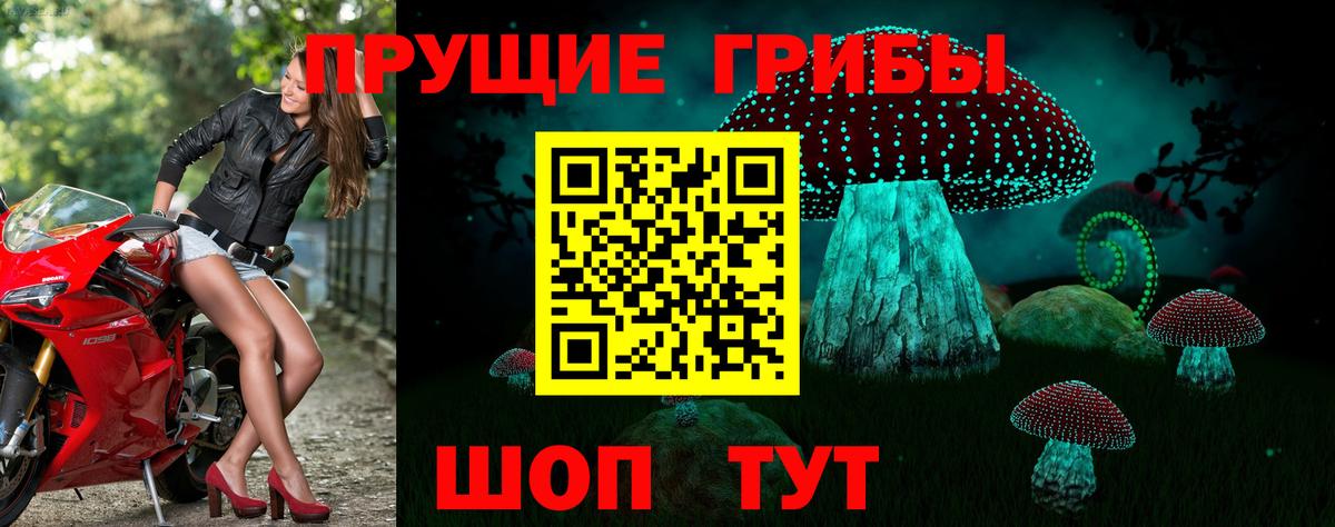 Псилоцибиновые грибы GOLDEN TEACHER  Вход с VPN  цены   Смоленск 