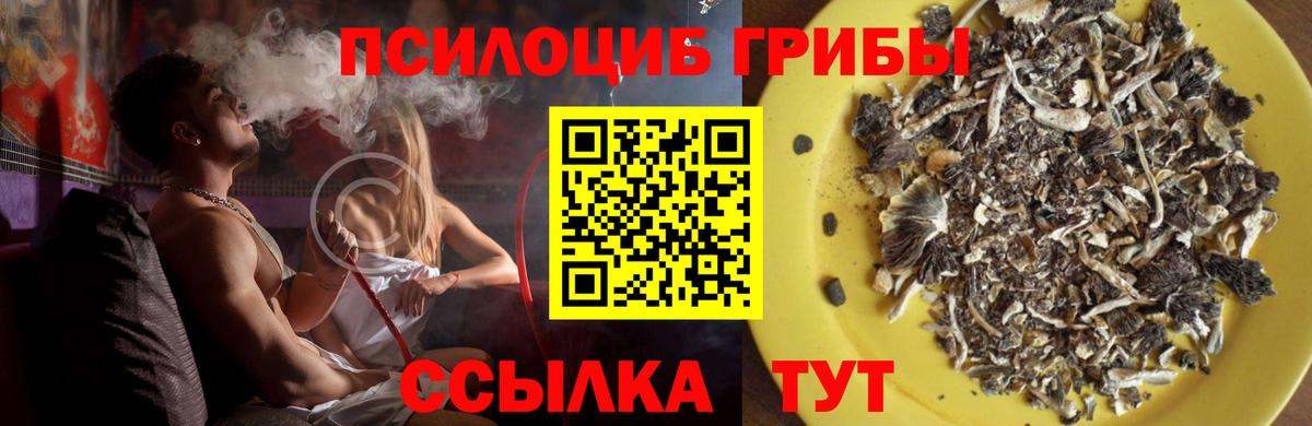 Галлюциногенные грибы мицелий Смоленск